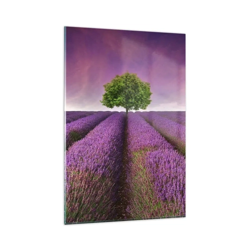 Quadro em vidro - Nos campos de lavanda - 80x120 cm
