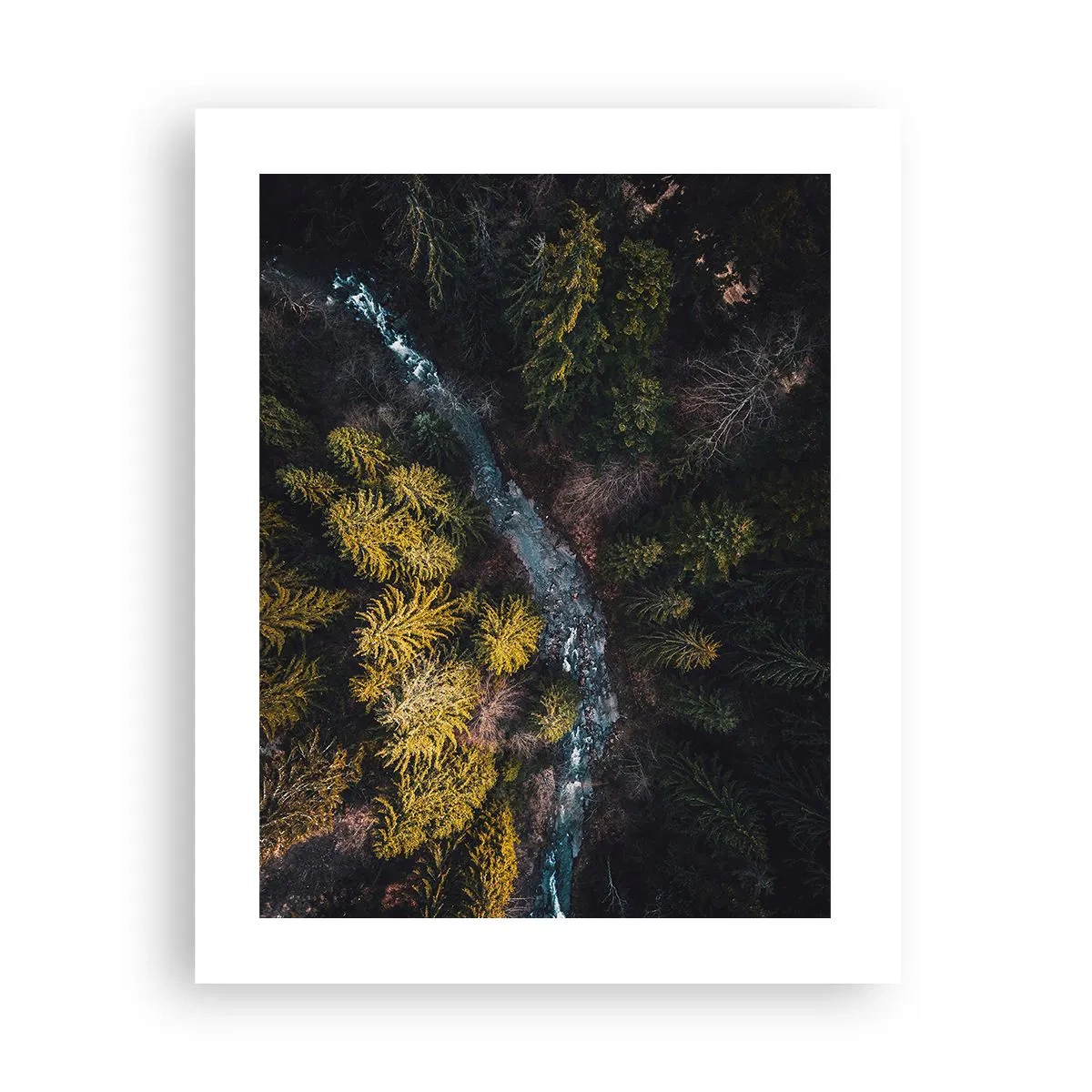 Pôster - Rápido e cada vez mais rápido - 40x50 cm