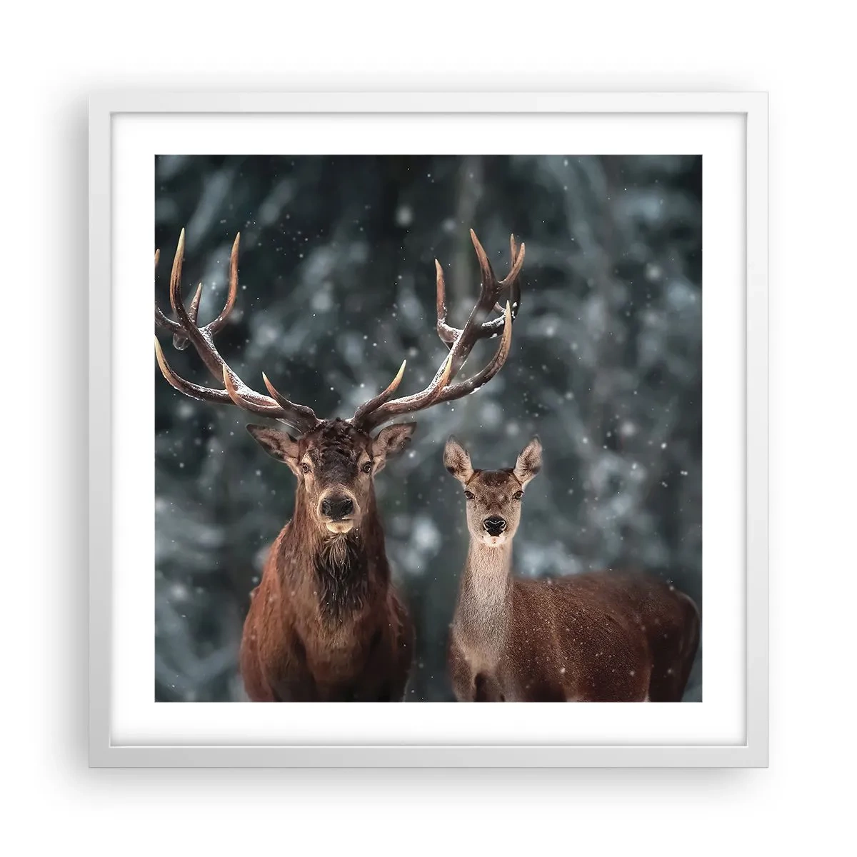 Pôster em moldura branca - O senhor da floresta com sua esposa - 50x50 cm