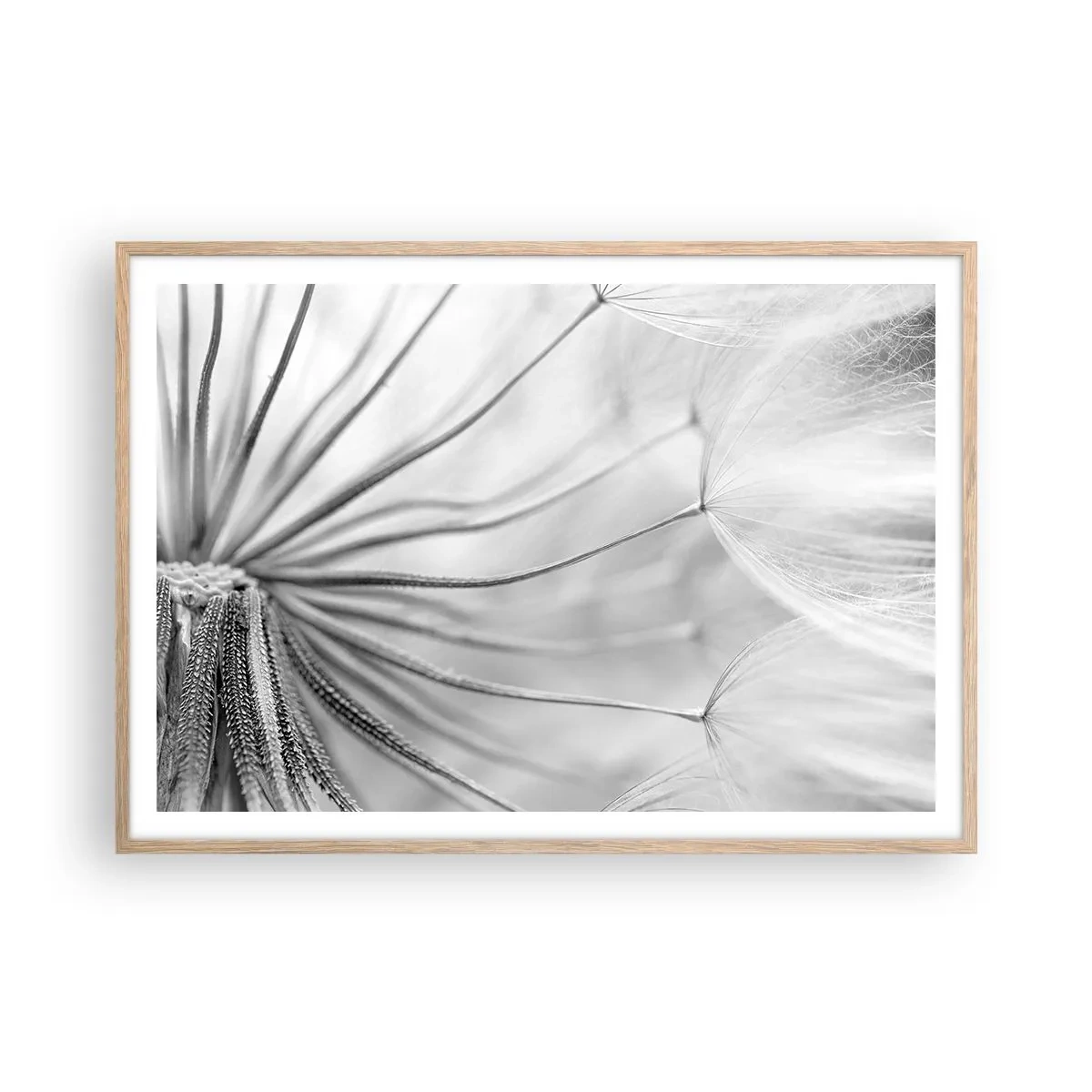 Pôster com moldura de carvalho claro - Dentes de leão, pipas - 100x70 cm