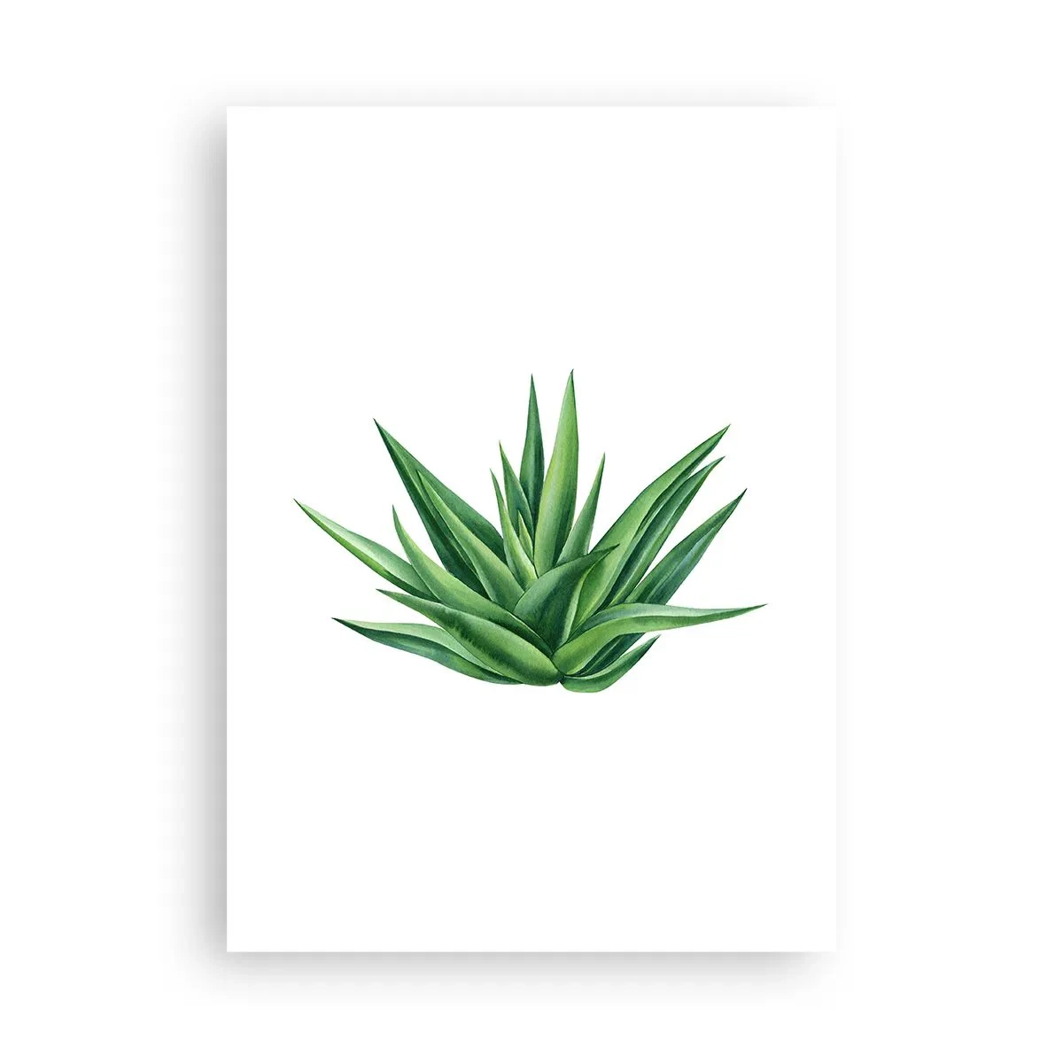 Pôster - Verde – força – vida - 50x70 cm