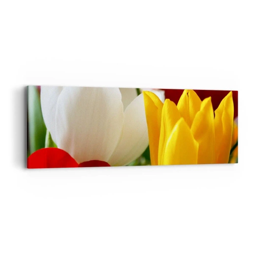 Quadro em tela - Febre das tulipas - 90x30 cm