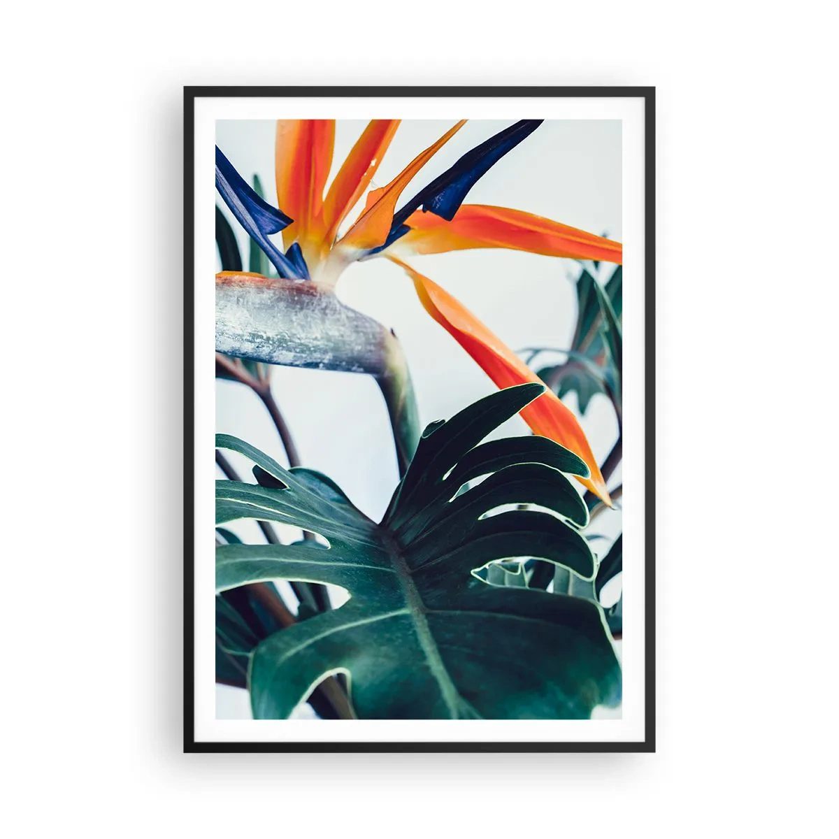 Pôster com moldura preta - Arbusto de passarinho - 70x100 cm