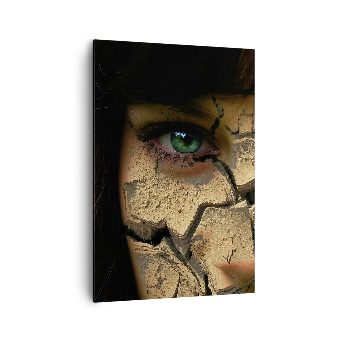 Quadro em tela - Admiração e medo ao mesmo tempo - 70x100 cm