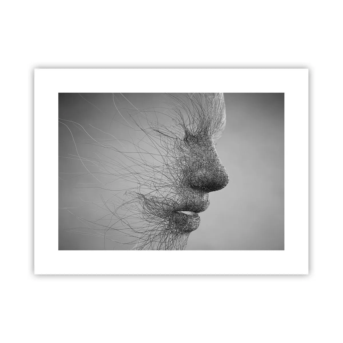 Pôster - Espírito do vento - 40x30 cm