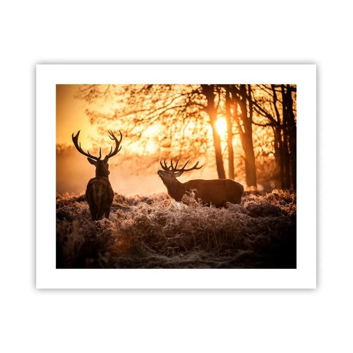 Pôster - O sonho do caçador - 50x40 cm