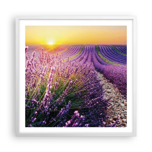 Pôster em moldura branca - Prado perfumado - 60x60 cm