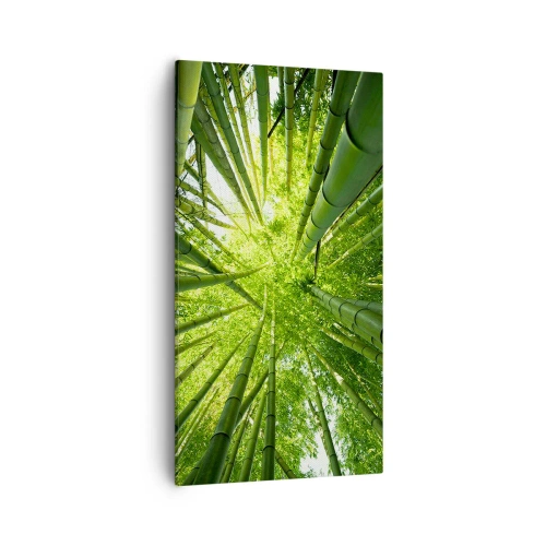 Quadro em tela - Em um bosque de bambu - 55x100 cm