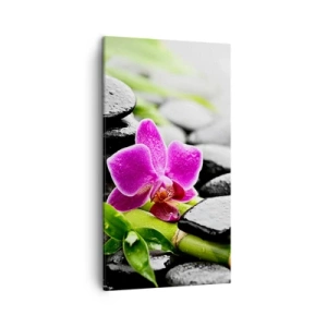 Quadro em tela - Calmo equilíbrio - 45x80 cm