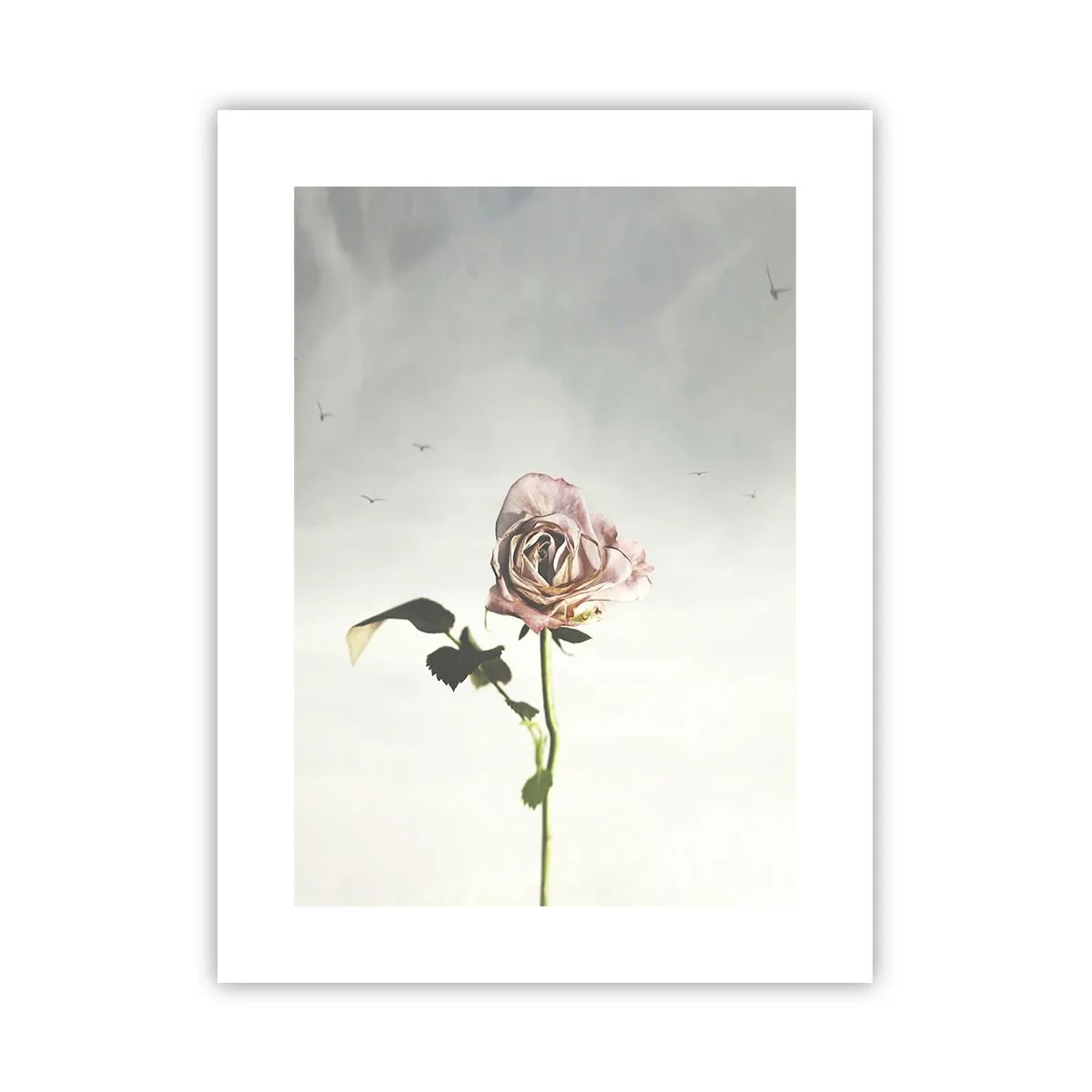 Pôster - Boas-vindas da primavera  - 30x40 cm
