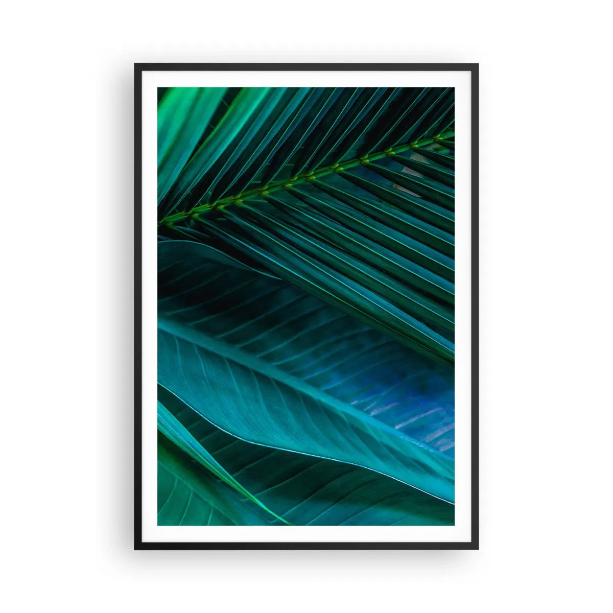 Pôster com moldura preta - Anatomia da vegetação - 70x100 cm