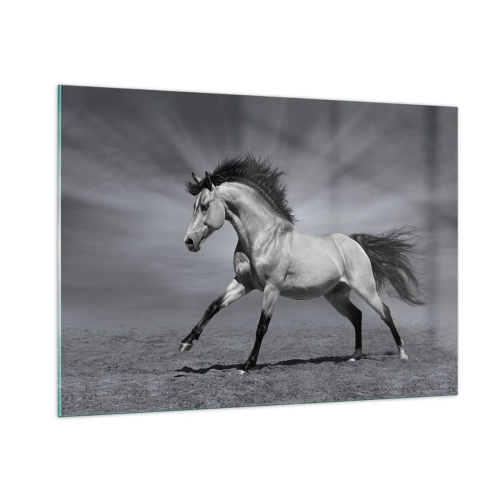 Quadro em vidro - Nascido para encantar - 100x70 cm