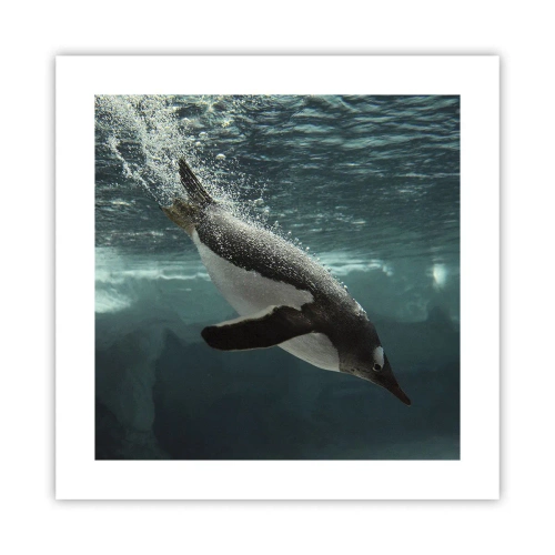 Pôster - Bem-vindo ao meu mundo - 40x40 cm