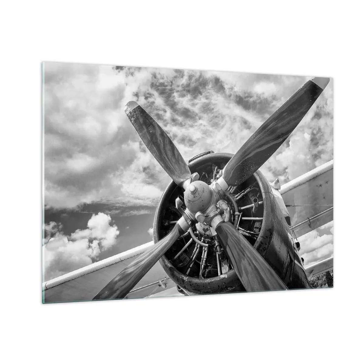 Quadro em vidro - O conquistador dos céus - 100x70 cm