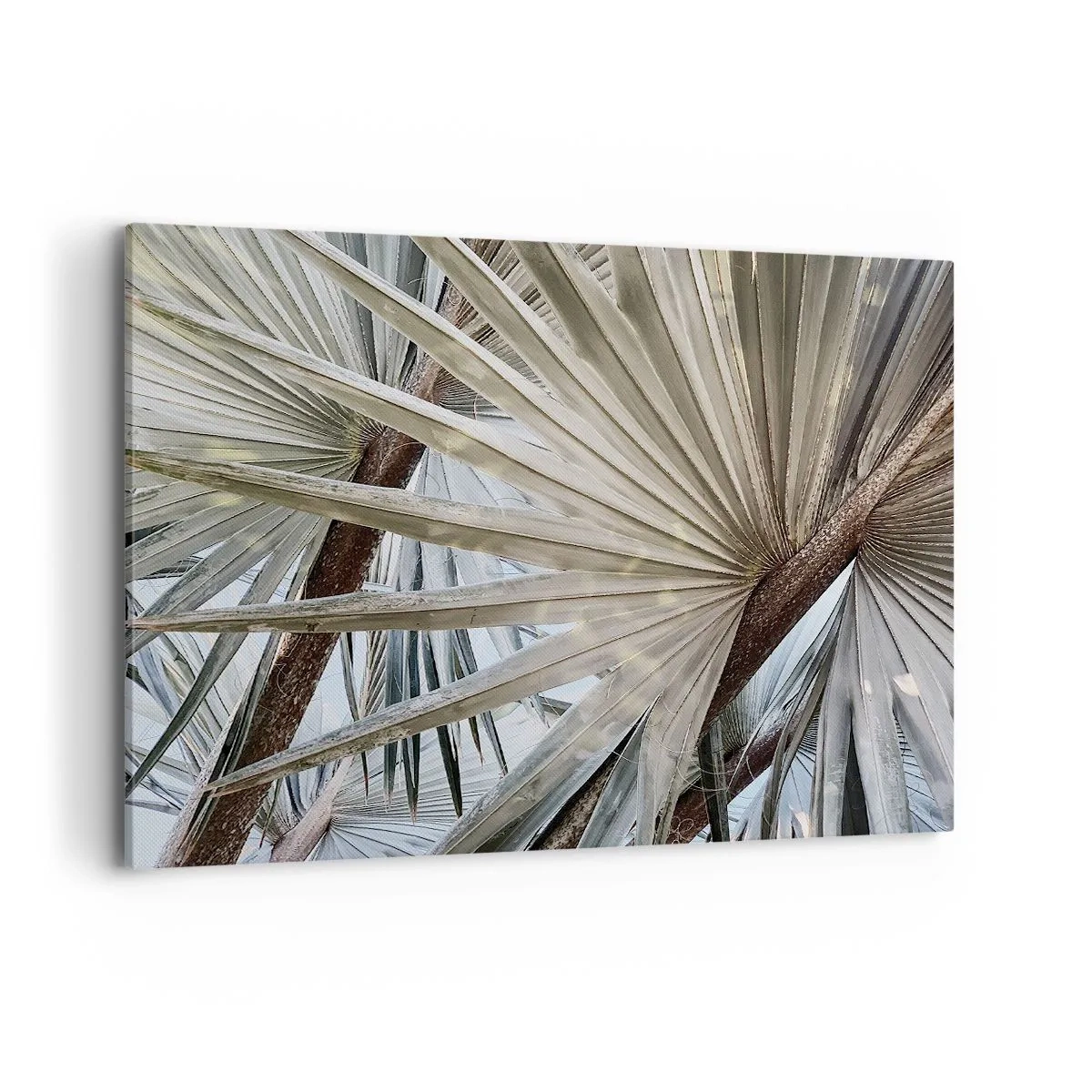 Quadro em tela - Leques nos trópicos - 120x80 cm
