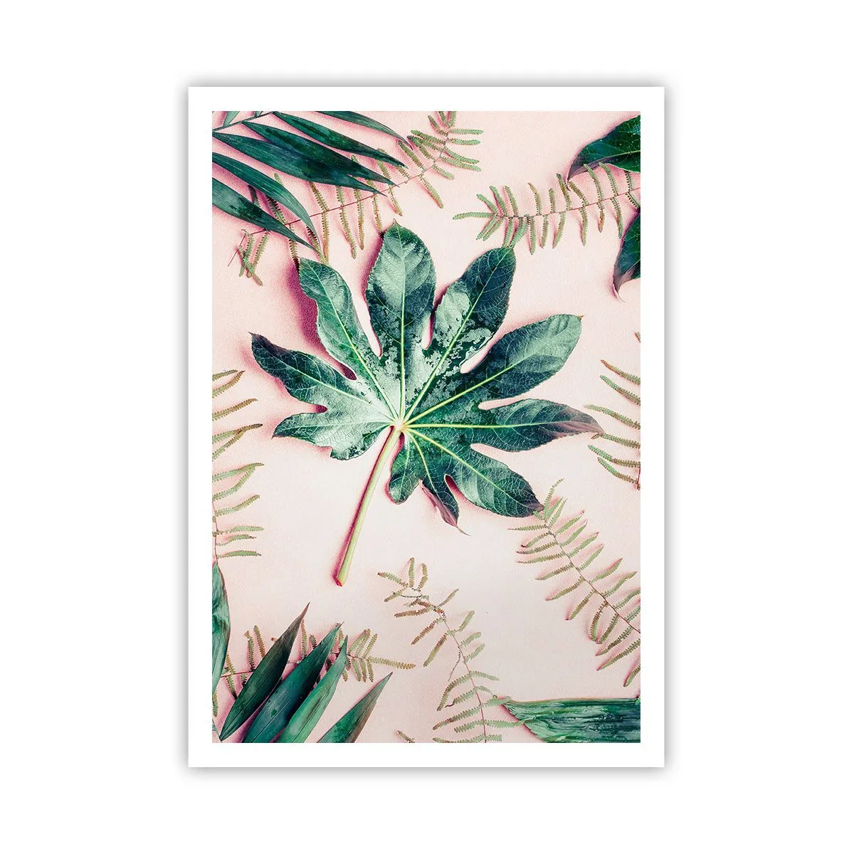 Pôster - Estudo do verde em um fundo rosa - 70x100 cm