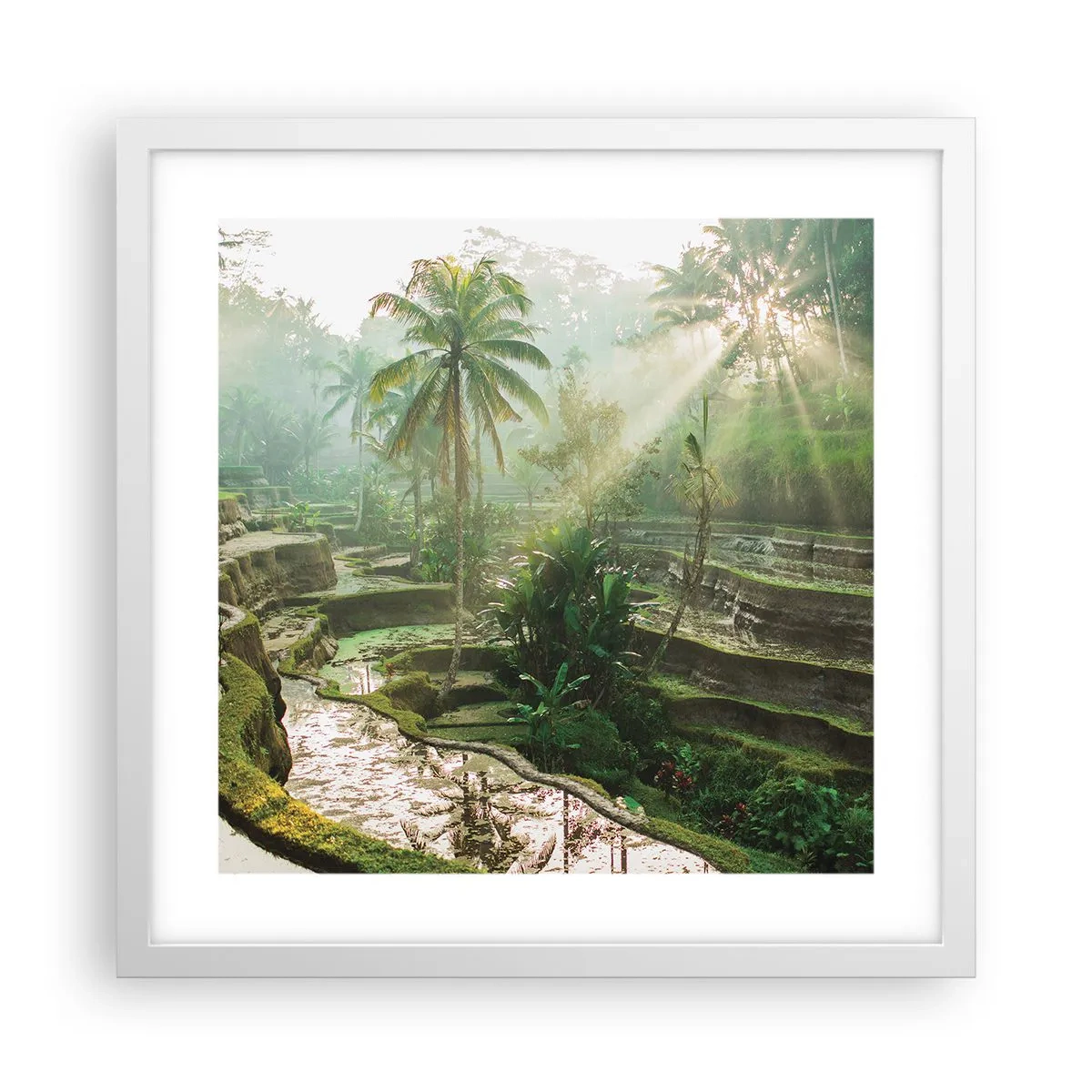 Pôster em moldura branca - Crescer ao sol - 40x40 cm