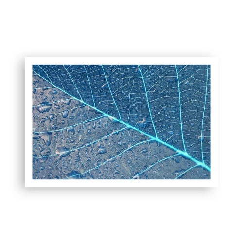 Pôster - A vida em azul - 91x61 cm