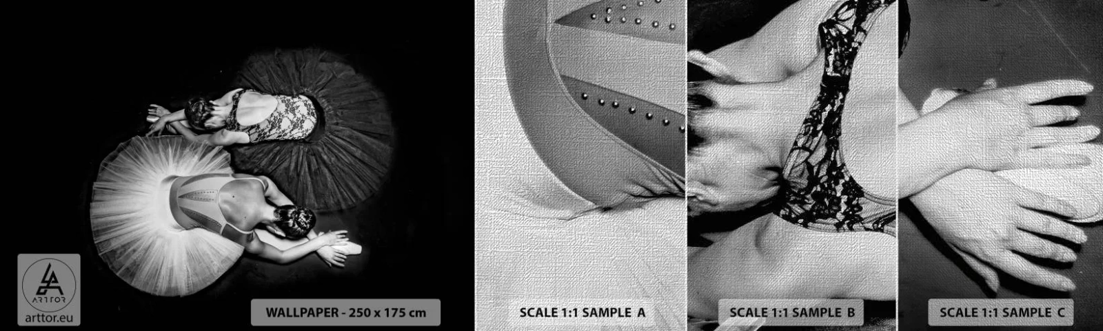 Amostra de papel de parede Premium Canvas - Jin e yang – o equilíbrio perfeito - Bailarina, Balé, Dança - 100x30 cm