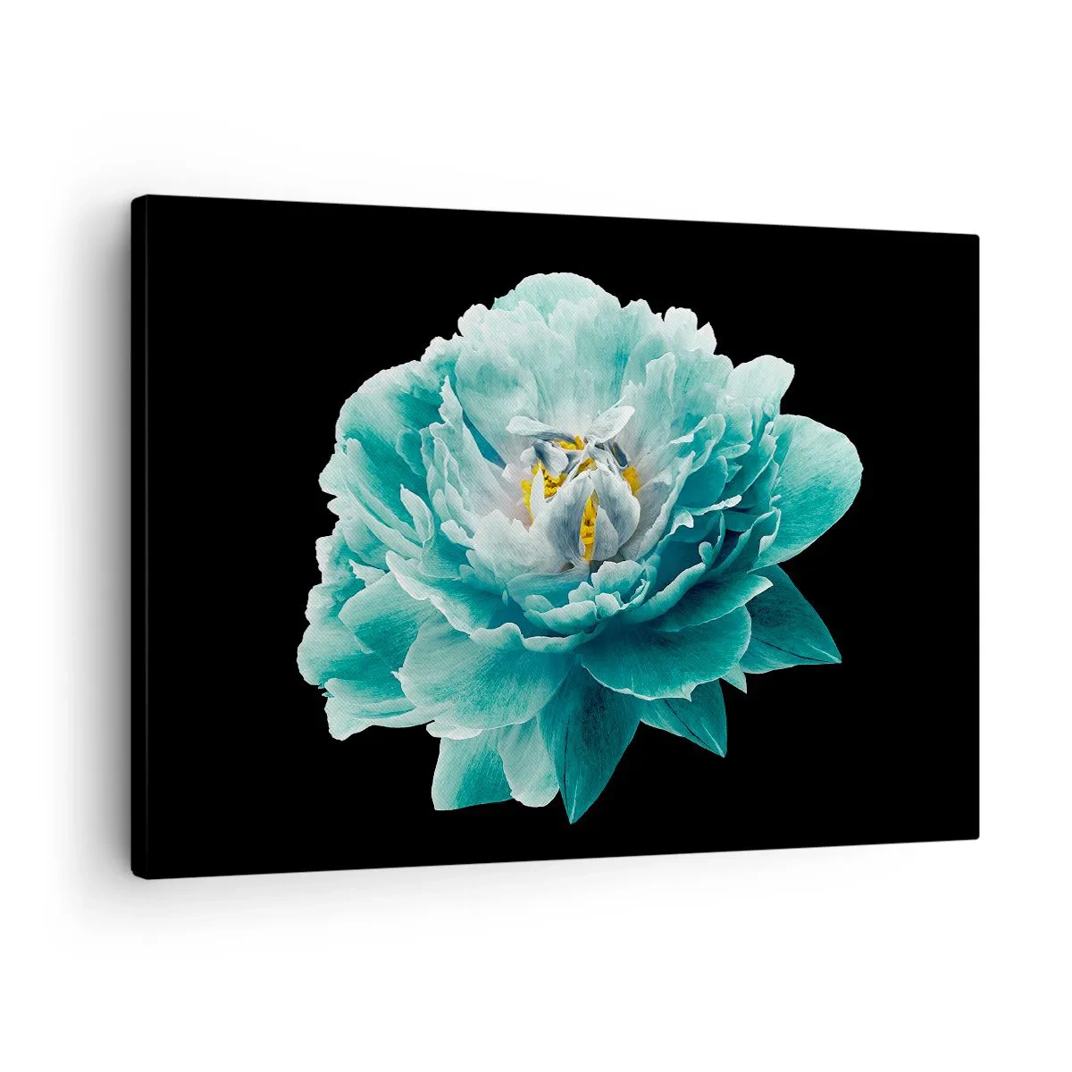 Quadro em tela - Flor de peônia turquesa em um fundo preto - 70x50cm - Pétalas azuis e douradas - Decoração de parede moderna para a sala de estar e quarto ARTTOR