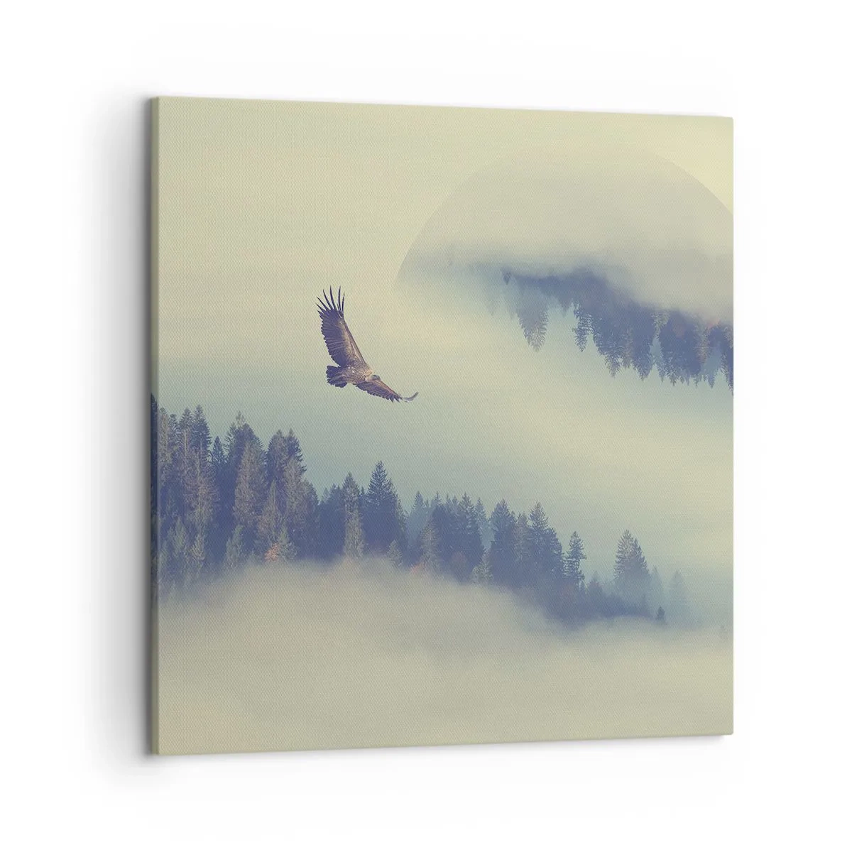 Quadro em tela - Eu vi a sombra de uma águia - 50x50 cm