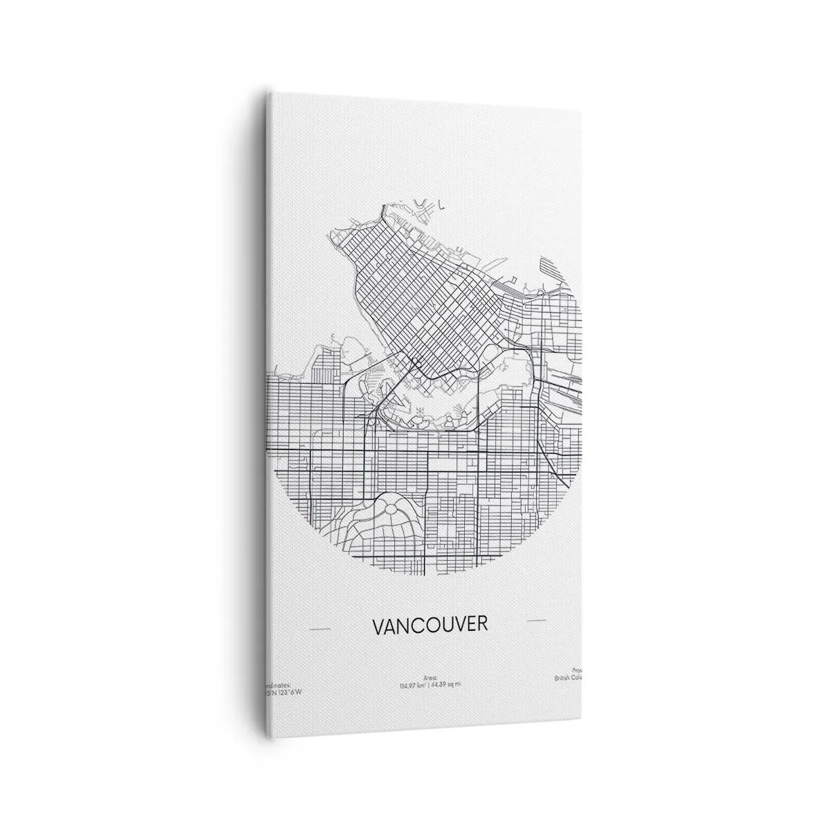 Quadro em tela - Anatomia de Vacouver - 55x100 cm