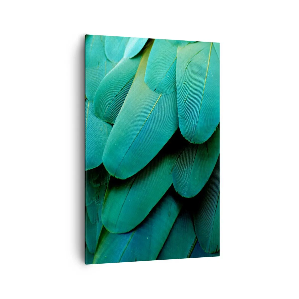 Quadro em tela - Precisão de papagaio - 80x120 cm