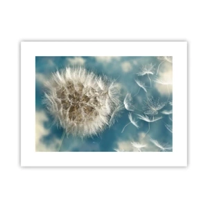 Pôster - Respiração de um anjo - 40x30 cm