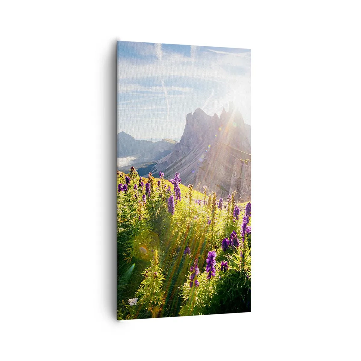 Quadro em tela - A vida secreta das ervas - 65x120 cm