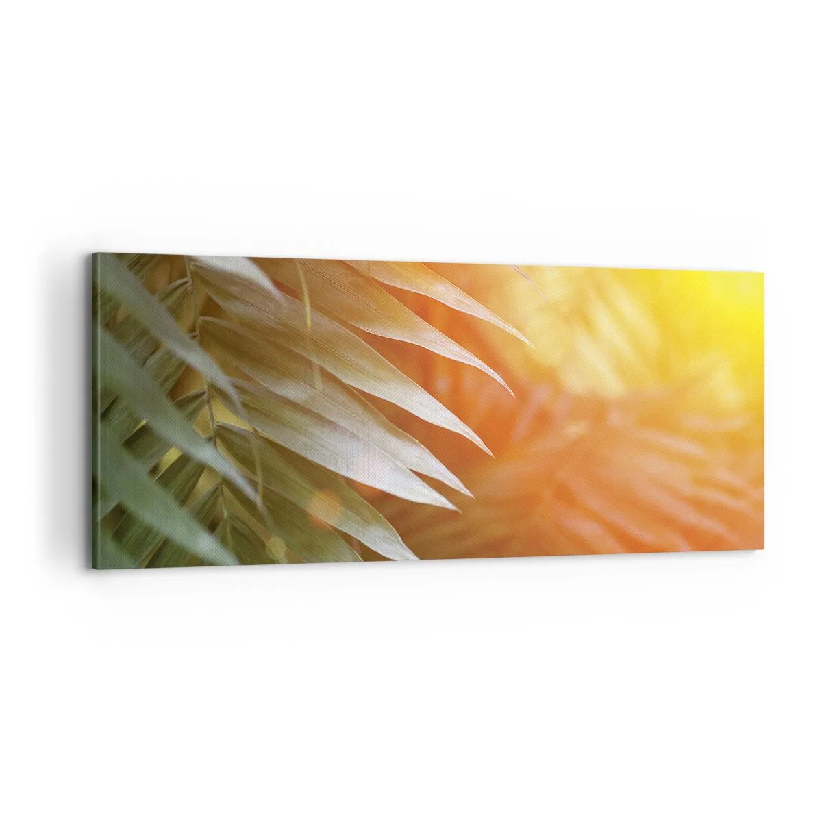 Quadro em tela - Manhã na selva - 100x40 cm