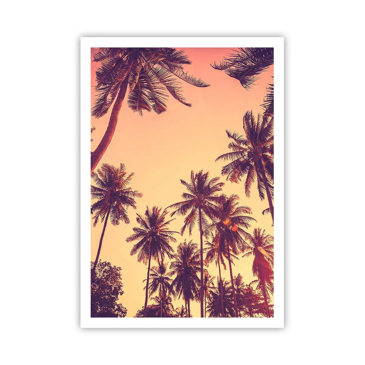 Pôster - Variação tropical - 70x100 cm