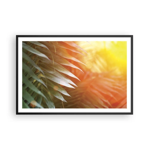 Pôster com moldura preta - Manhã na selva - 91x61 cm