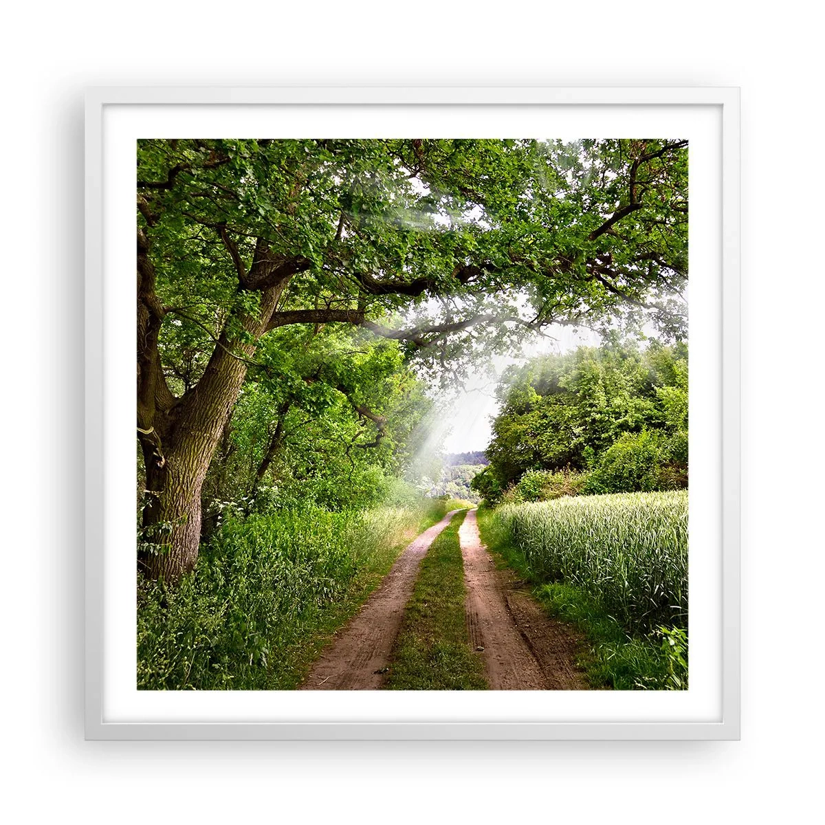 Pôster em moldura branca - Os pastores de Arcadia - 60x60 cm