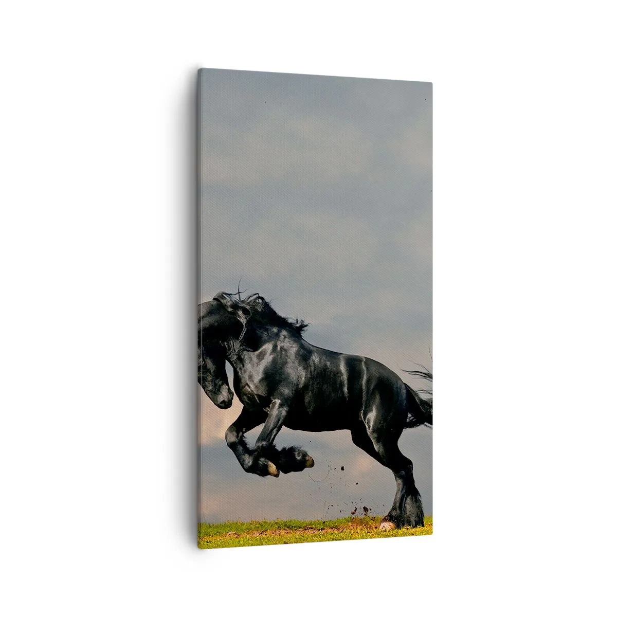 Quadro em tela - Bonito e lento - 55x100 cm