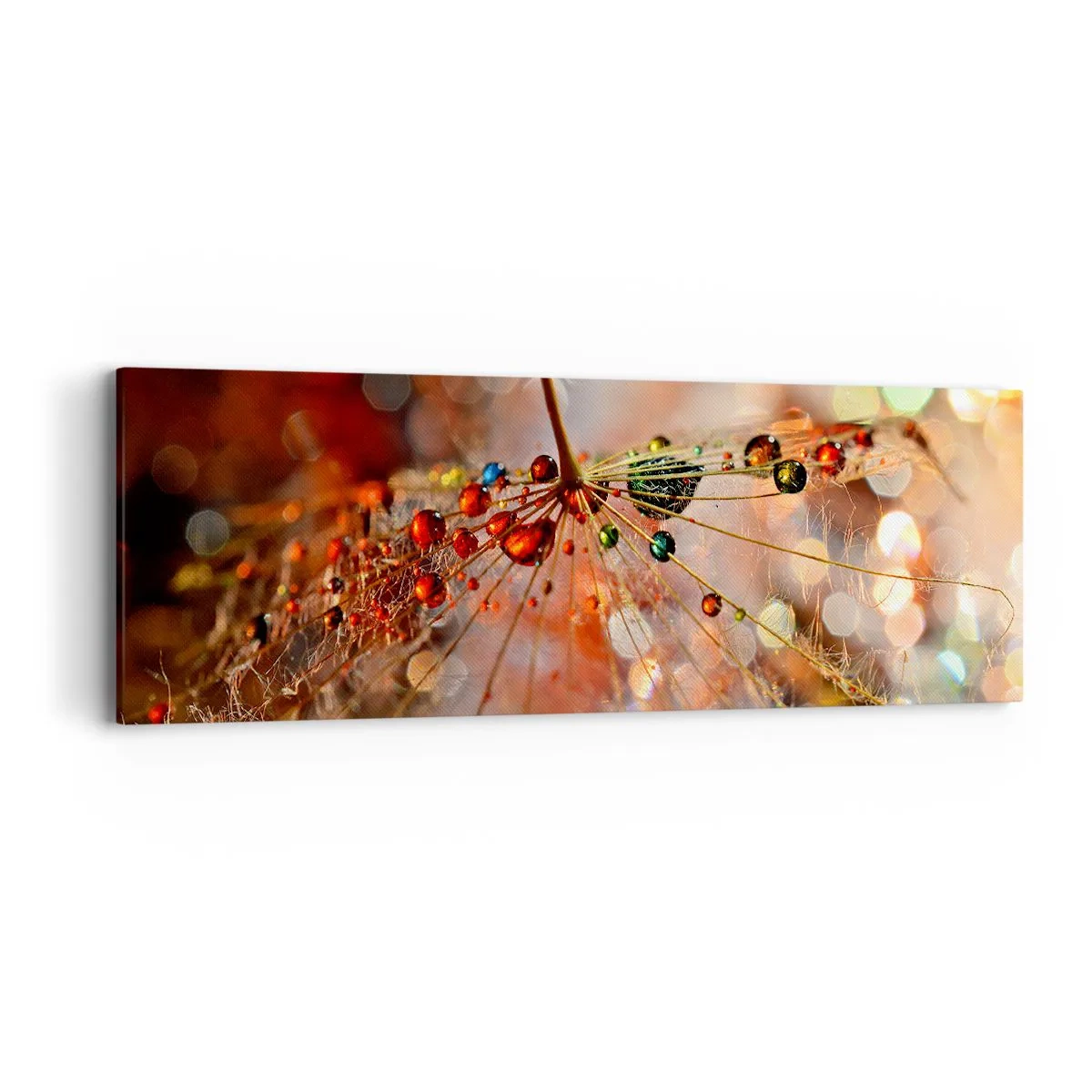 Quadro em tela - Enroscado numa teia de aranha - 90x30 cm