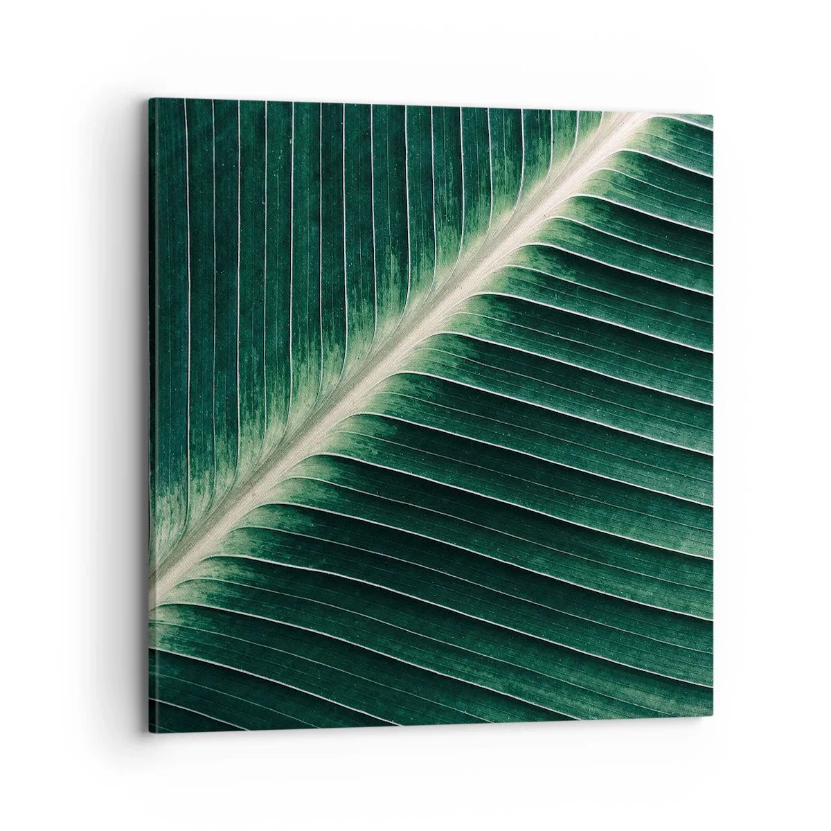 Quadro em tela - O ritmo da natureza - 70x70 cm