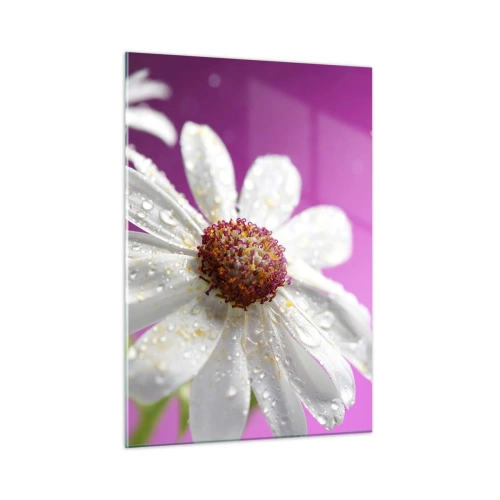 Quadro em vidro - Modesto em sua beleza - 50x70 cm
