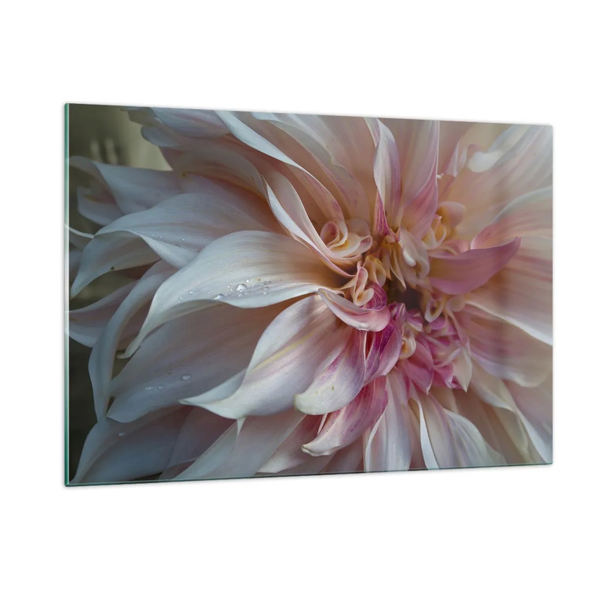 Quadro em vidro - Frescor florescente - 120x80 cm