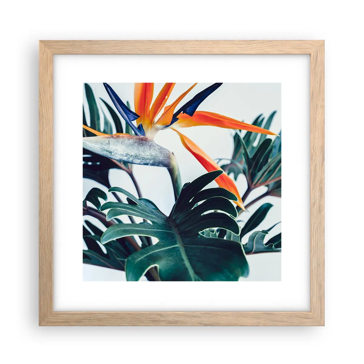 Pôster com moldura de carvalho claro - Arbusto de passarinho - 30x30 cm