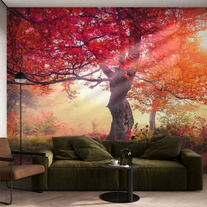 Papel de Parede Autocolante Deluxe Sticker - Um frenesi de florescimento - Paisagem, Parque, Flores - 200x140 cm