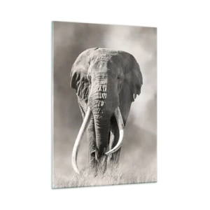 Quadro em vidro - Patriarca africano - 50x70 cm