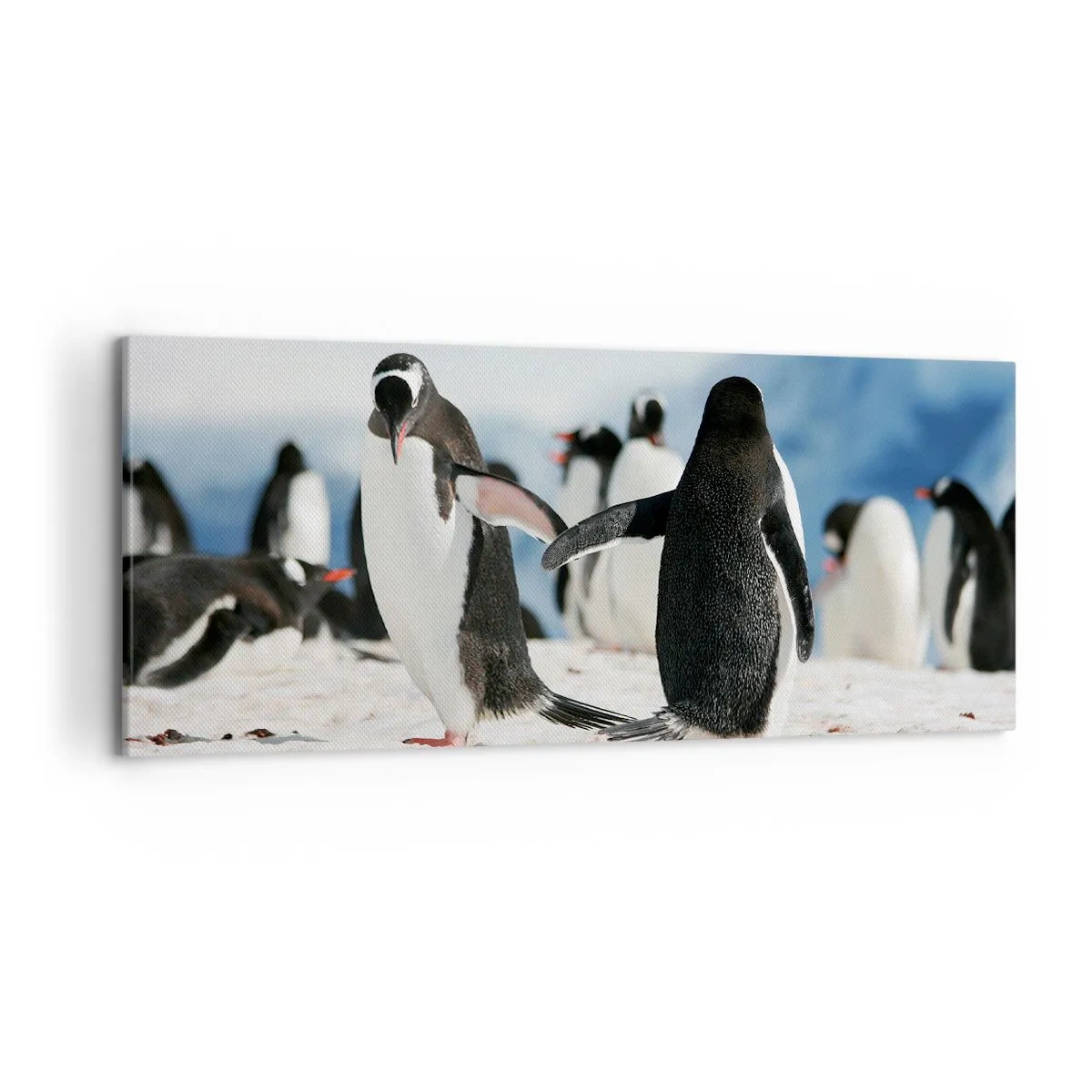 Quadro em tela - Dança na neve - 120x50 cm