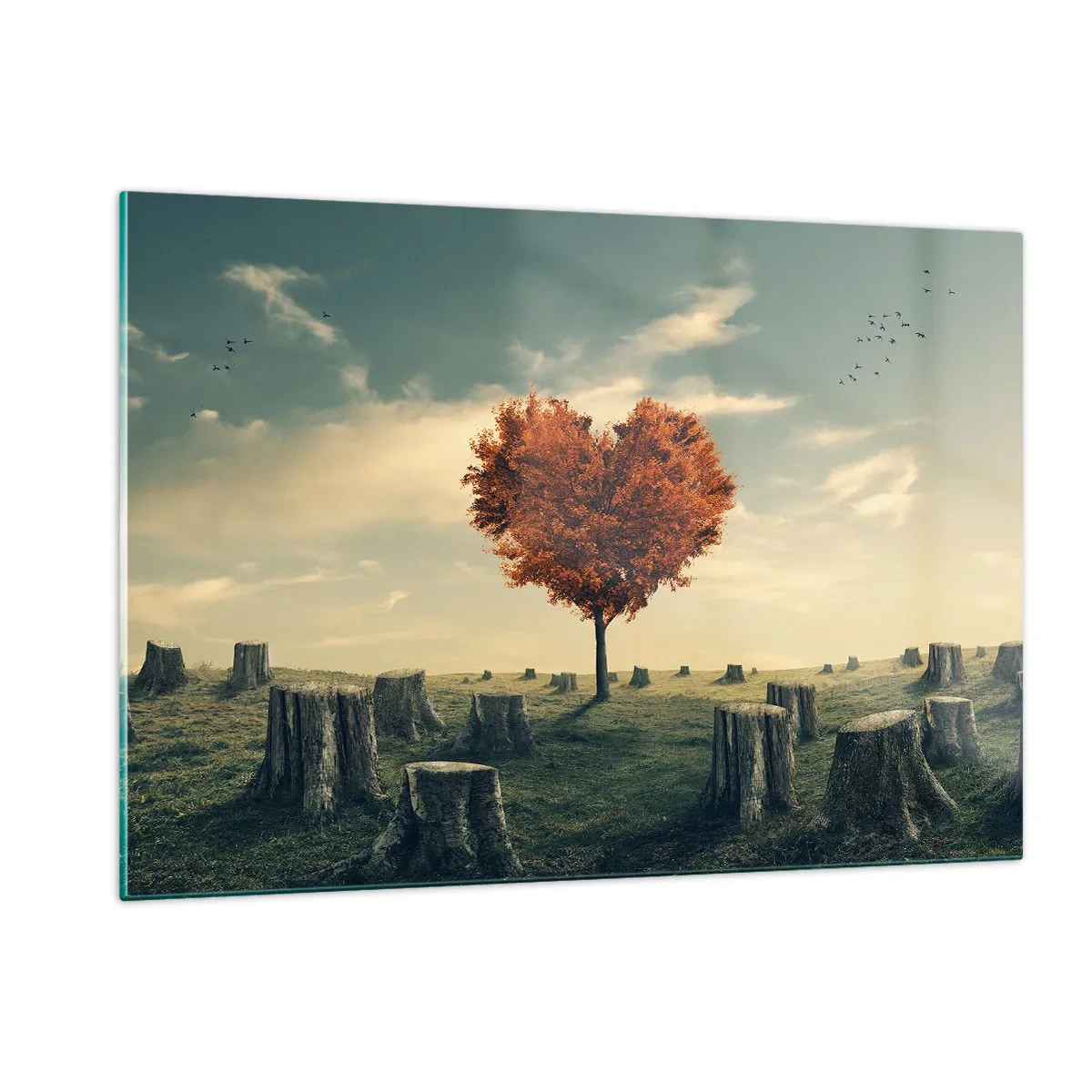 Quadro em vidro - Ainda há esperança - 120x80 cm