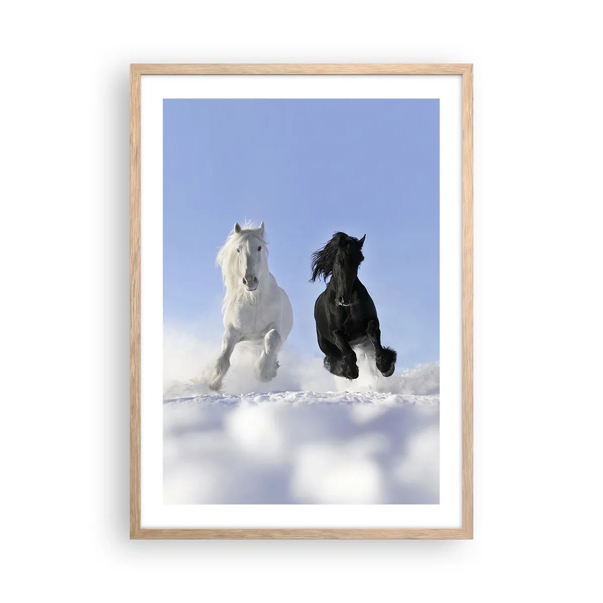 Pôster com moldura de carvalho claro - Galope preto e branco - 50x70 cm