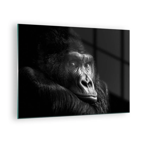 Quadro em vidro - Retrato em preto e branco de um gorila na sombra de uma janela - 70x50cm - E para que é que estás a olhar? - Decoração de parede moderna para a sala de estar e quarto ARTTOR