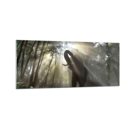 Quadro em vidro - Sob a estrela da sorte - 100x40 cm