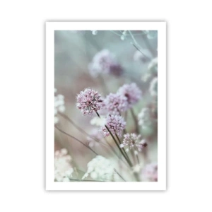 Pôster - Doce delicadeza das ervas - 50x70 cm