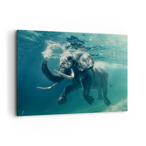 Quadro em tela - Todo mundo gosta de nadar - 100x70 cm