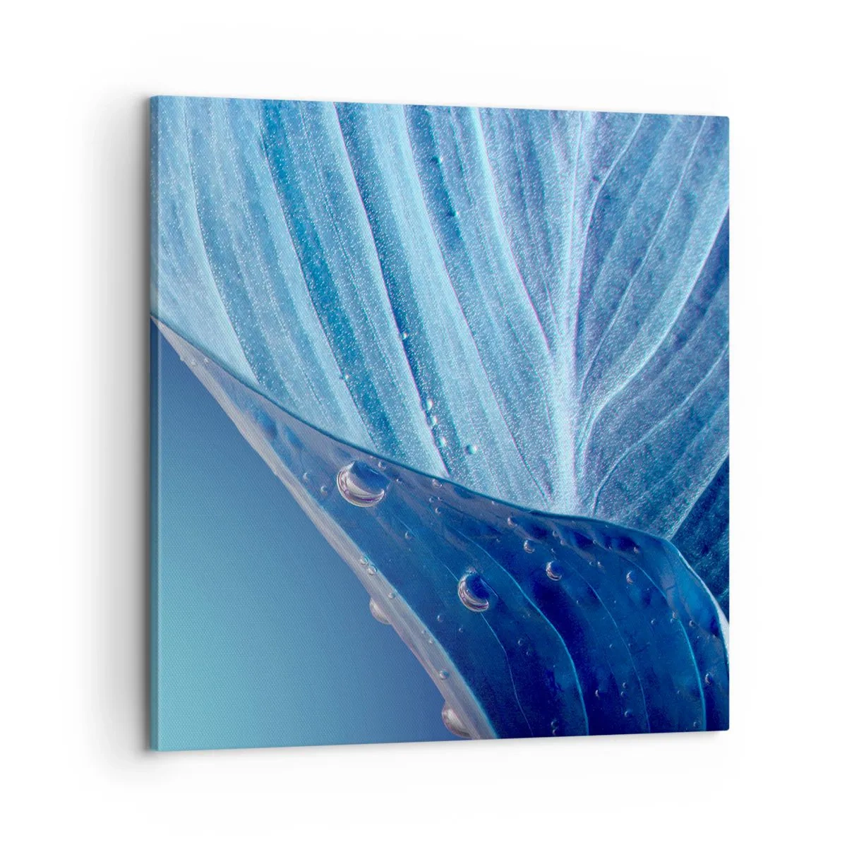 Quadro em tela - Gotas escondidas no azul - 60x60 cm