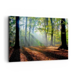 Quadro em tela - Luzes e sombras - 100x70 cm